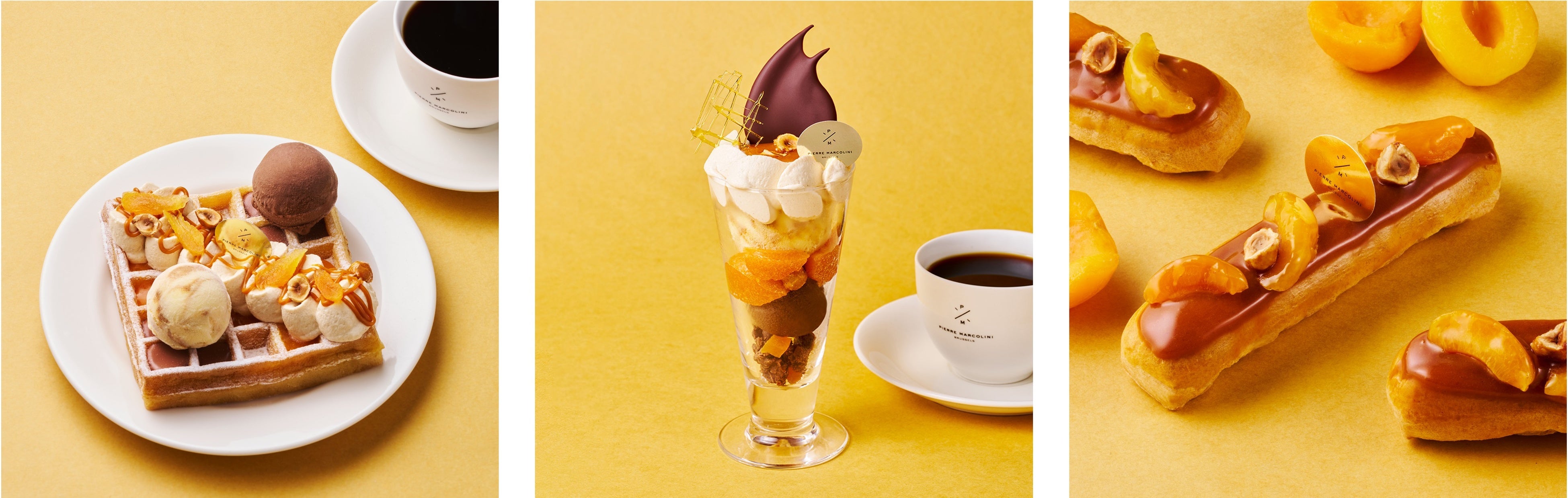 ピエールマルコリーニ　プラリーヌ　アソート　33粒 ピエール マルコリーニ オンラインショップ|サマーコレクション