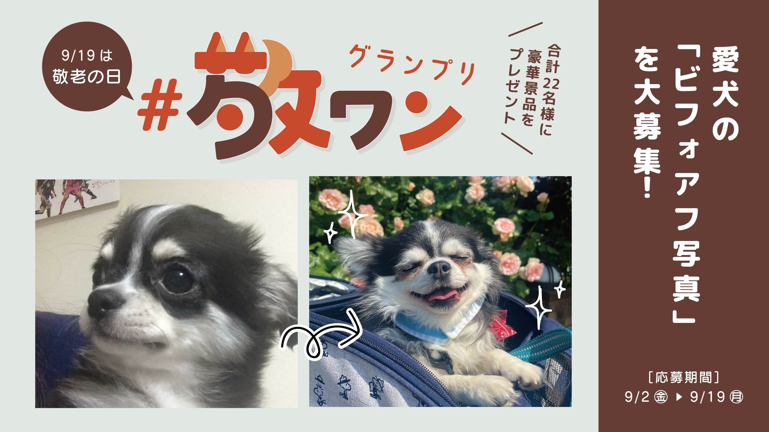 ペットにも敬老の日を 子犬時代との ビフォーアフター写真で 愛犬と過ごした時間を振り返ろう Snsフォトコンテスト 敬ワングランプリ 好評開催中 株式会社サンコーのプレスリリース