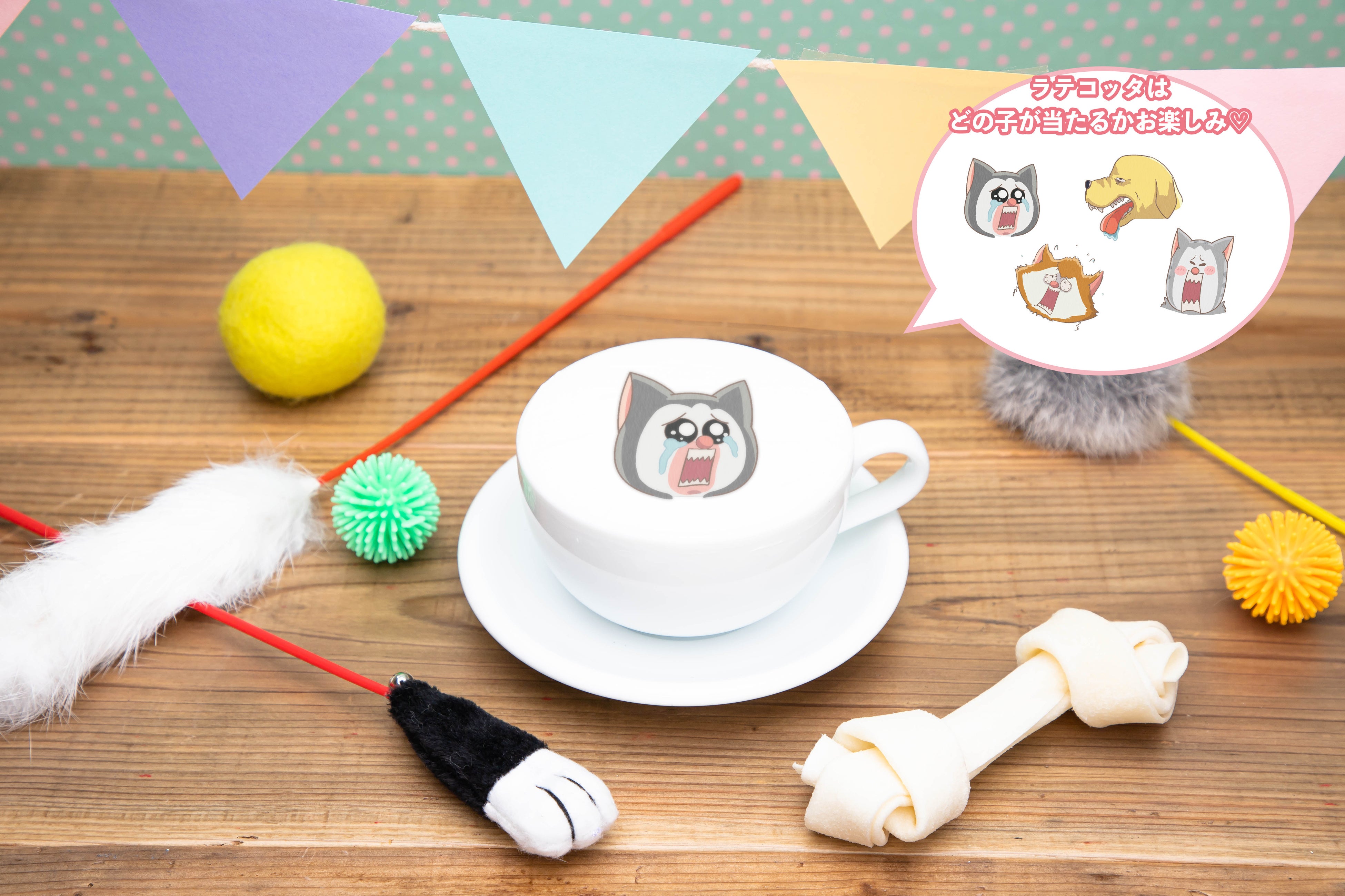 ペット達のココア