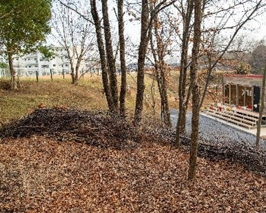 ４．生き物の森 