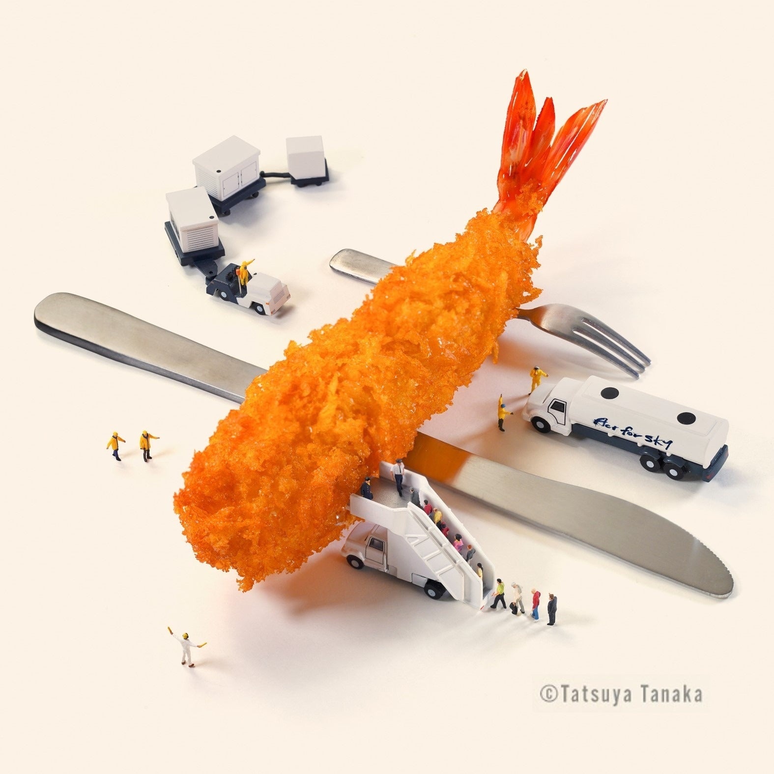 「Fry to Fly Project」のシンボル