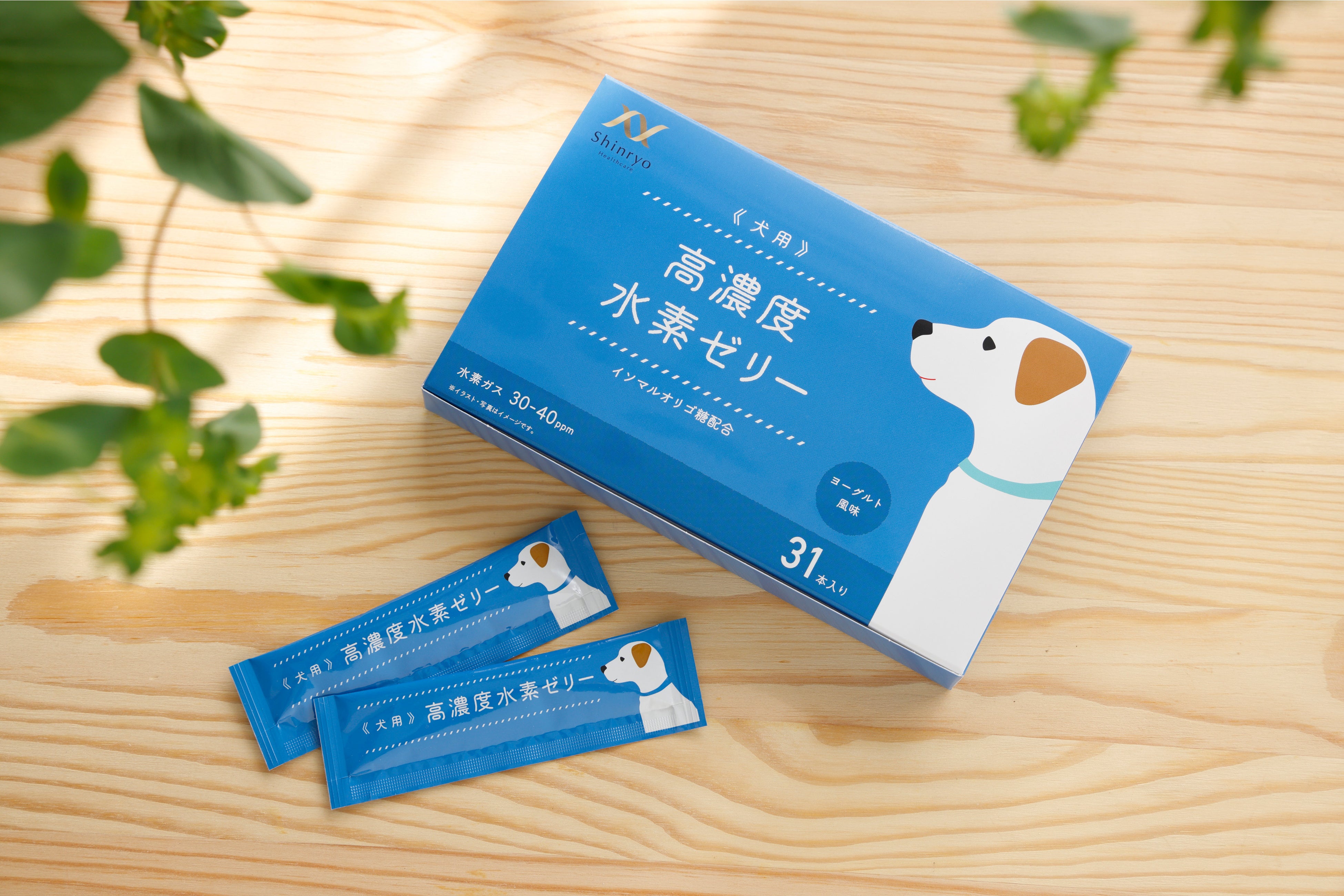 高濃度水素ゼリー犬用