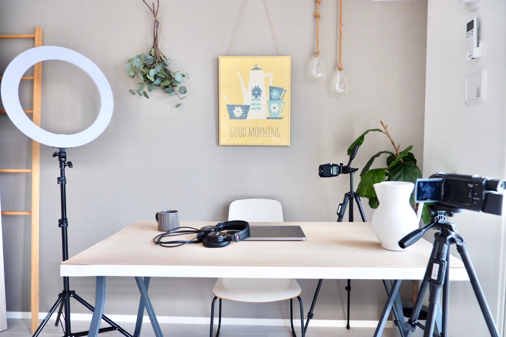 配信者使用イメージ（ミュージション別物件の住戸写真）