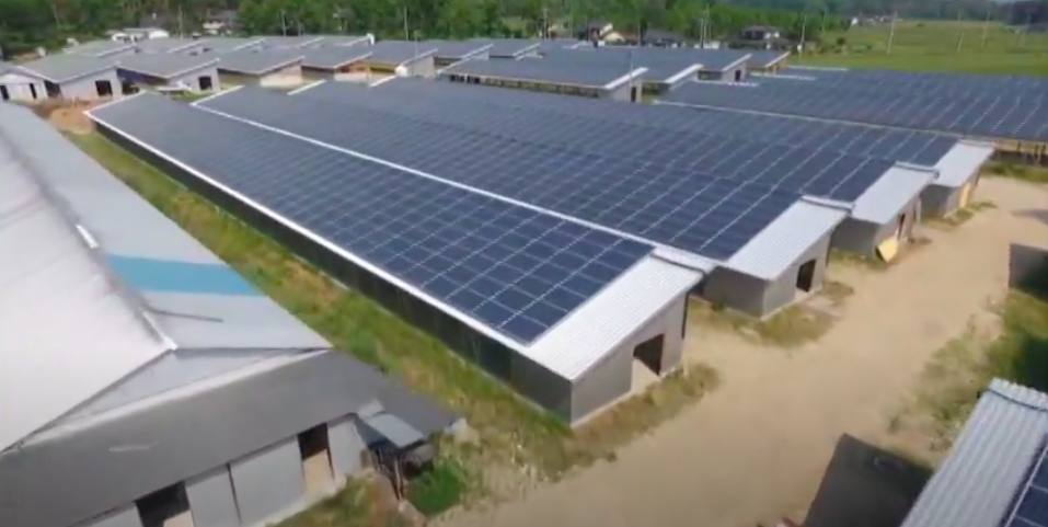 全鶏舎ソーラーパネル仕様