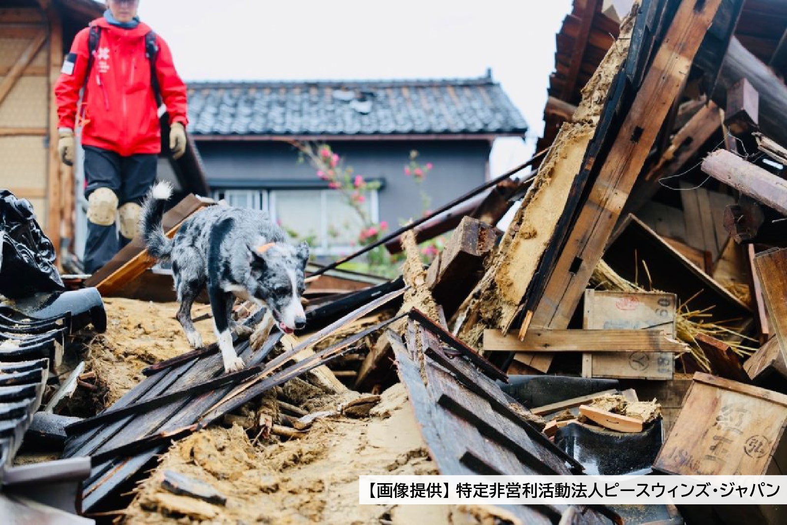 能登で救助活動を行う様子（画像提供：特定非営利活動法人ピースウィンズ・ジャパン）