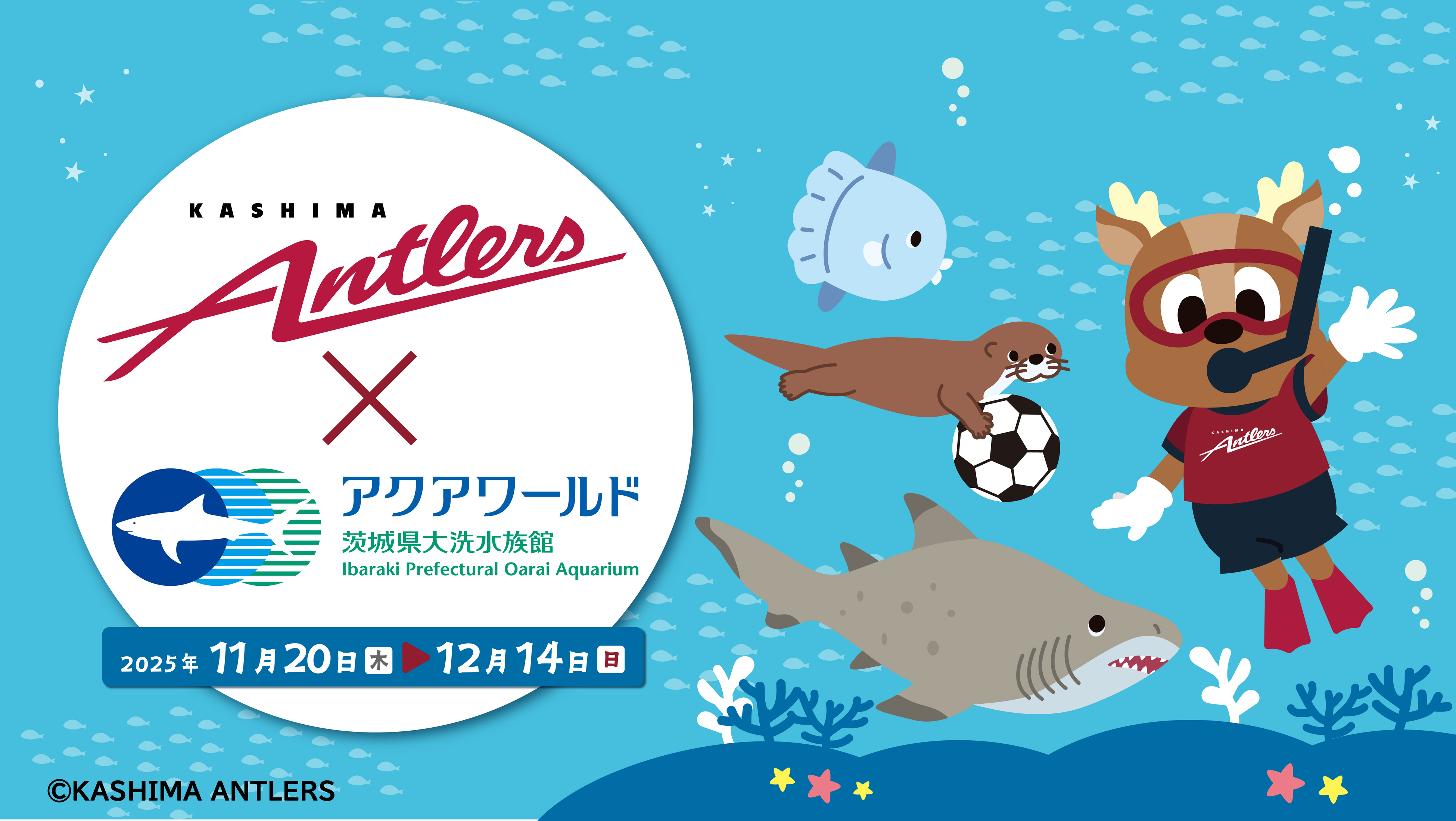 【鹿島アントラーズがアクアワールド・大洗に初上陸!】アクアワールド・大洗 × 鹿島アントラーズ スペシャルコラボイベント開催