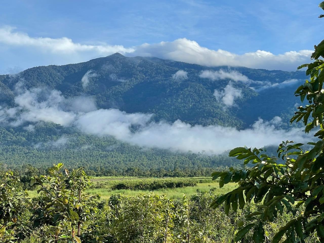 カンボジア最高峰のアオラル山（1813 m）とメロン畑