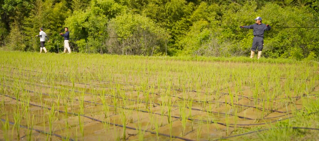 点滴チューブは手作業で微調整をしながら設置された。