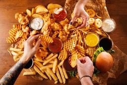 SHOGUN FRIEDイメージ画像