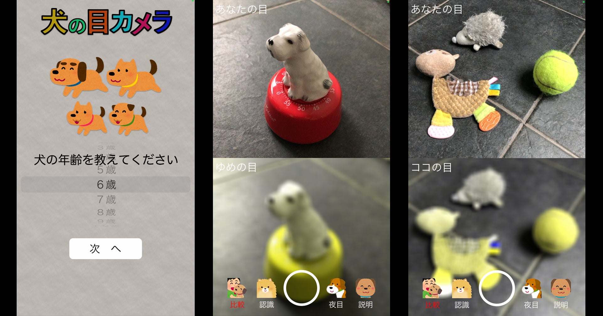 犬の視覚が疑似体験できるスマホアプリ 犬の目カメラ をリリース 株式会社404のプレスリリース 犬の視覚が疑似体験できるスマホアプリ 犬の目カメラ をリリース 株式会社404のプレスリリース