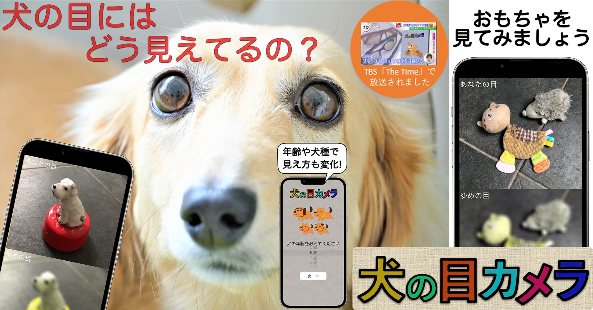 犬の視覚が疑似体験できるスマホアプリ 犬の目カメラ Android版をリリース 株式会社404のプレスリリース 犬の視覚が疑似体験できるスマホアプリ 犬の目カメラ Android版をリリース 株式会社404のプレスリリース
