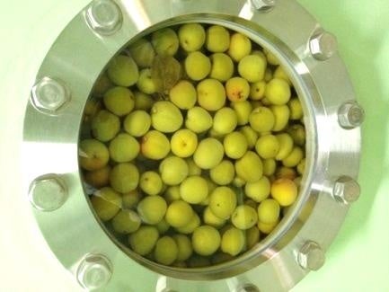 タンクに付けた窓から見える実