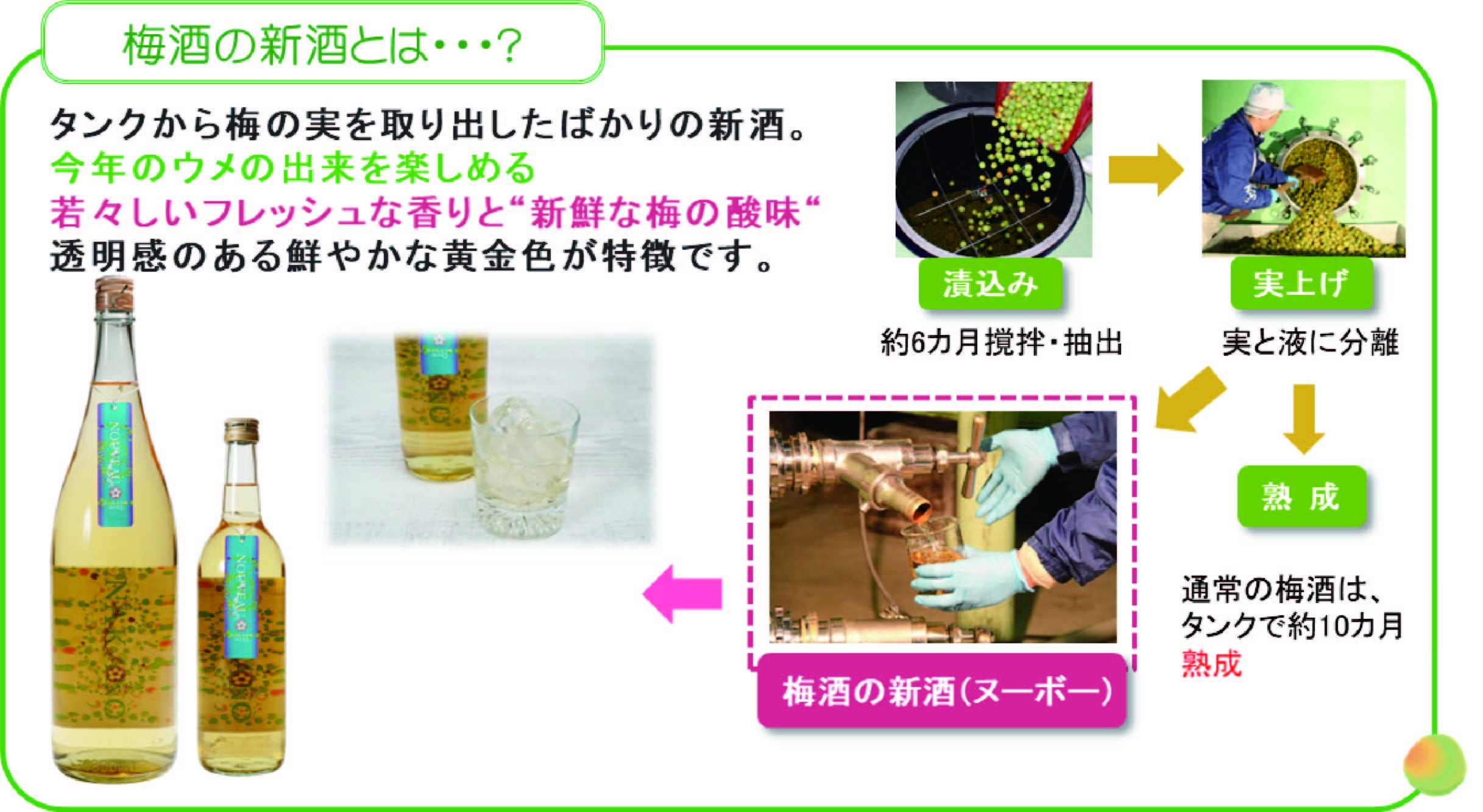 ヌーボー(新酒)の説明