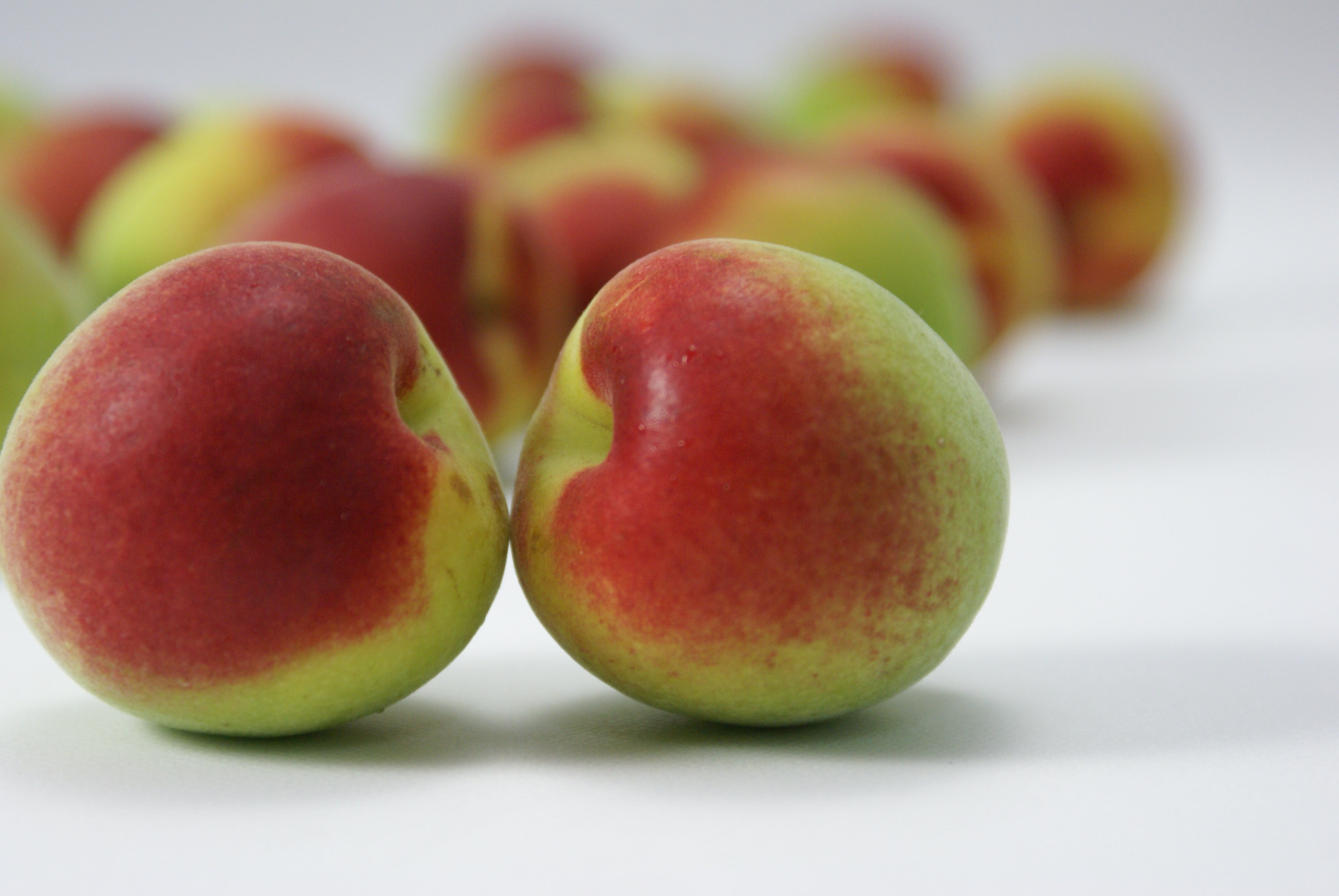 大粒の紀州南高梅