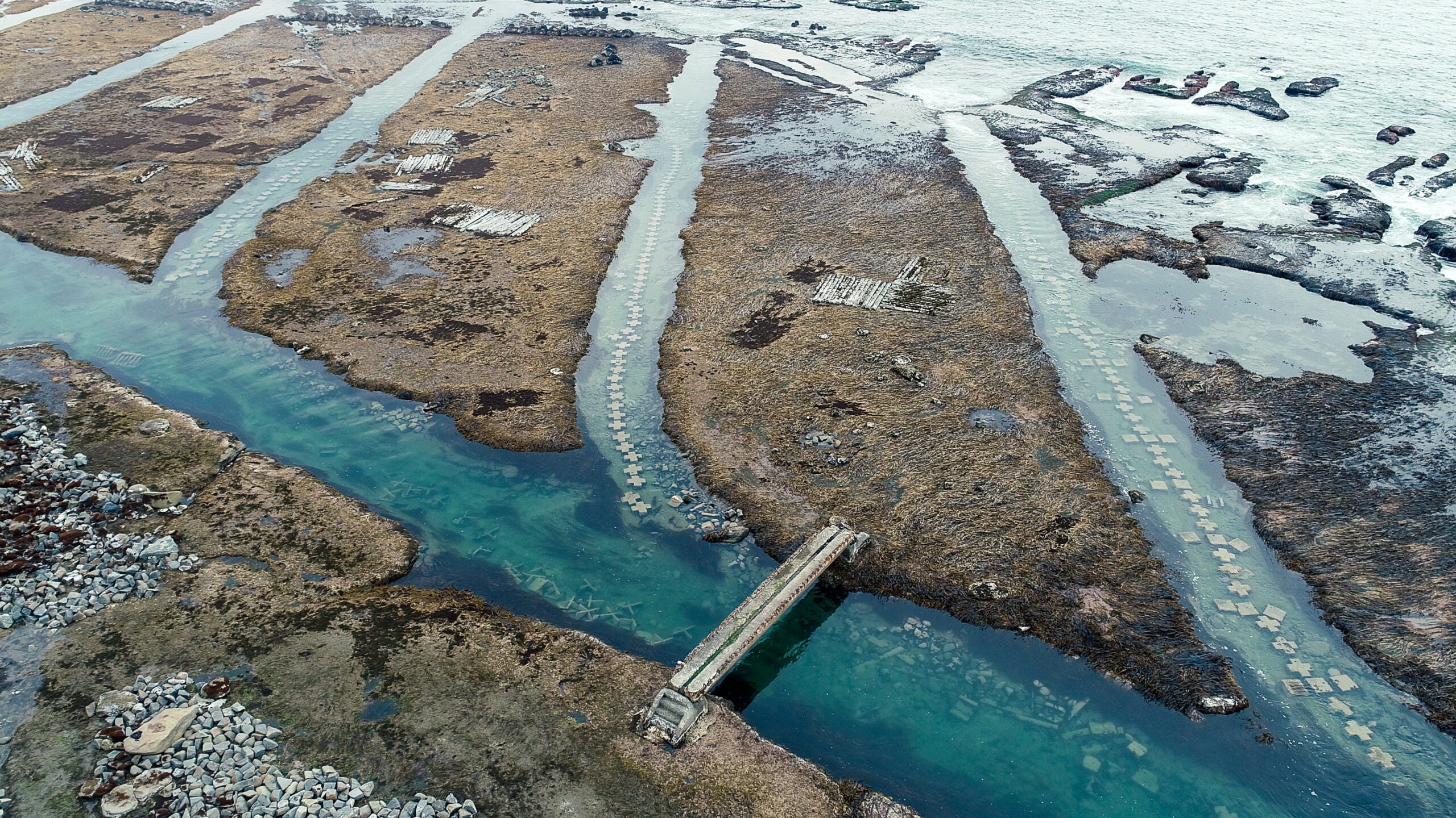 うに牧場の様子