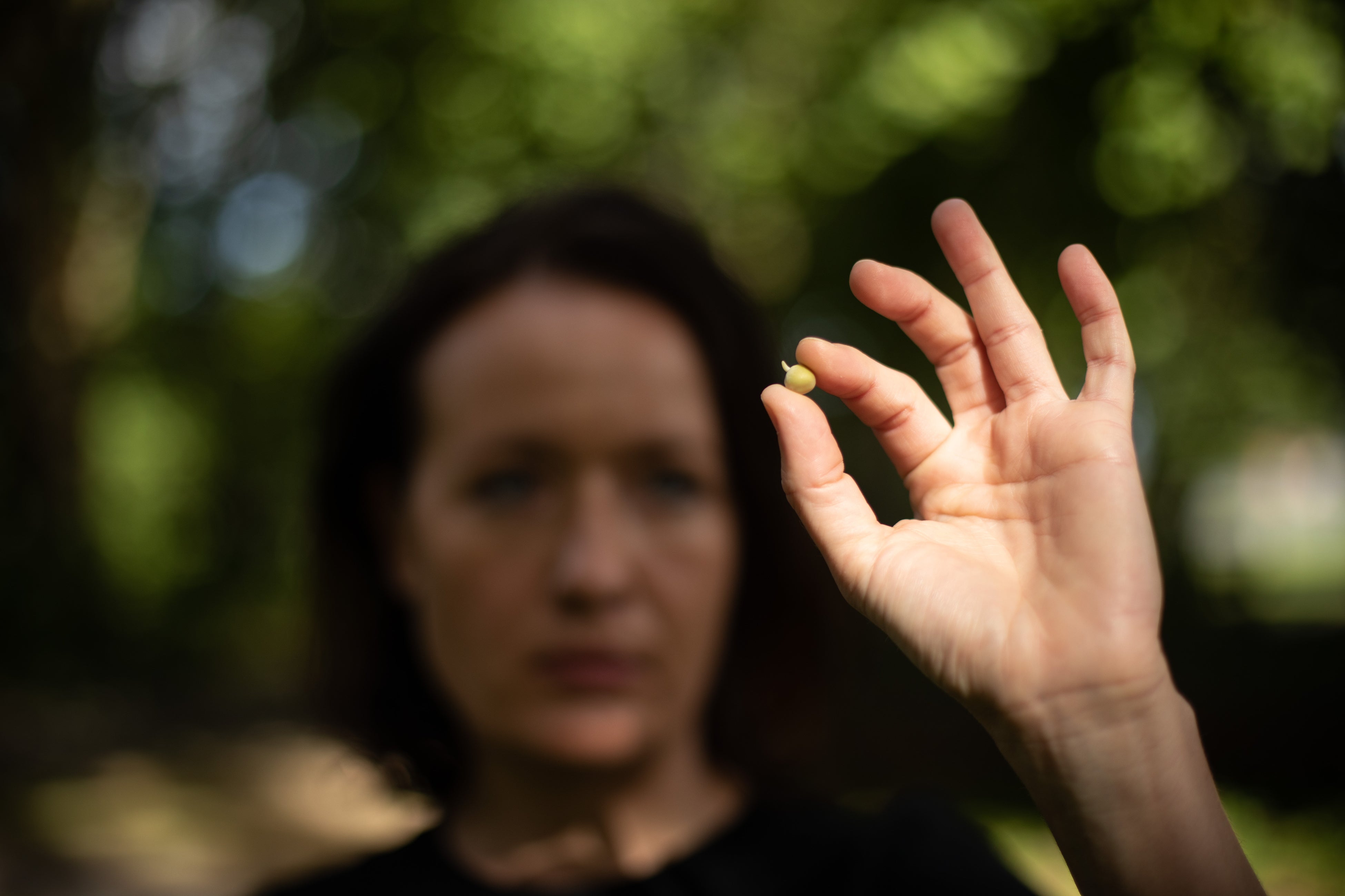 Photo by Camilo Pachón - Stiftung Künstlerdorf 2022