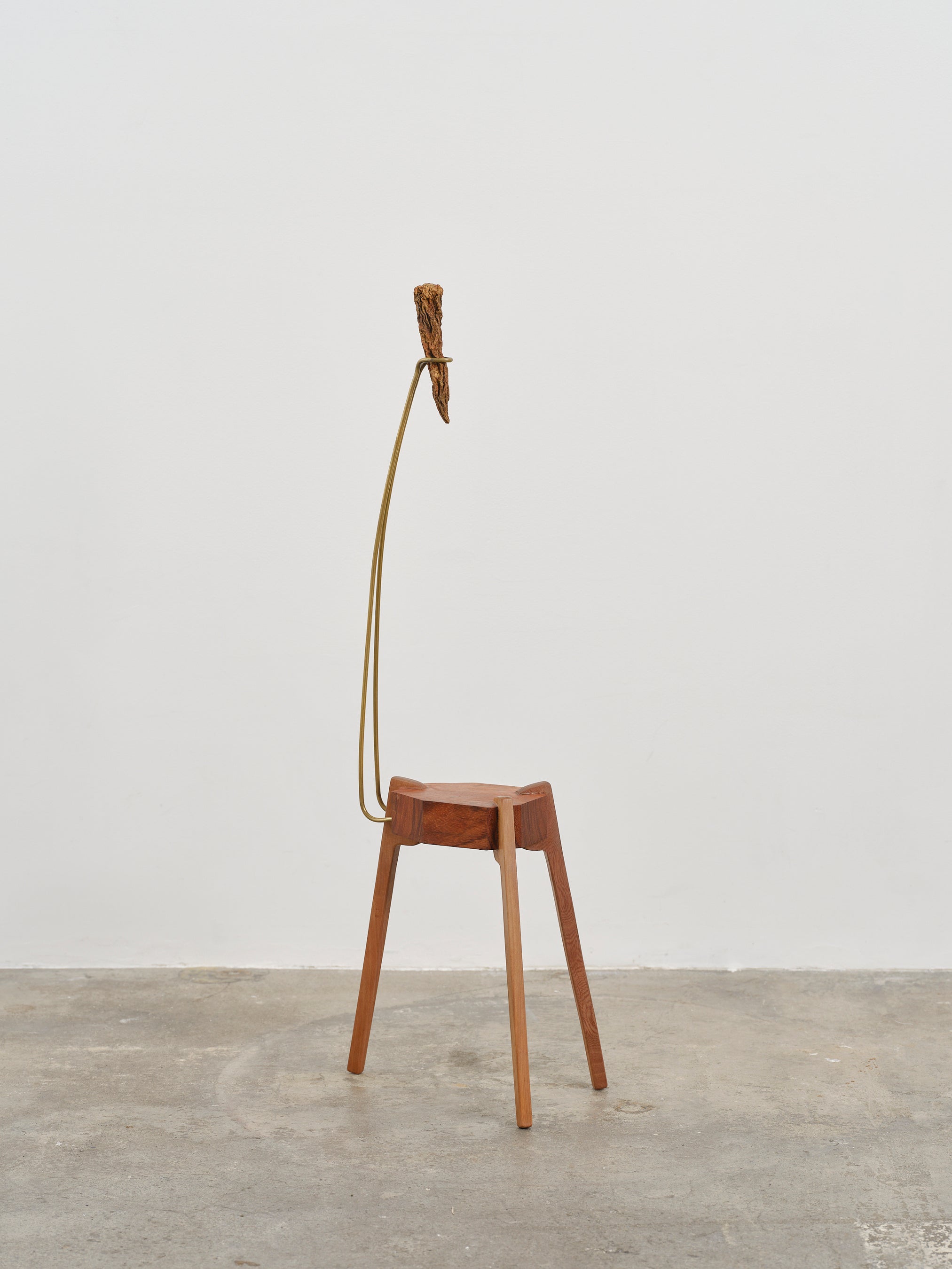 ©︎Sen Takahashi, Photo by Ichiro Mishima, Courtesy of LEESAYA