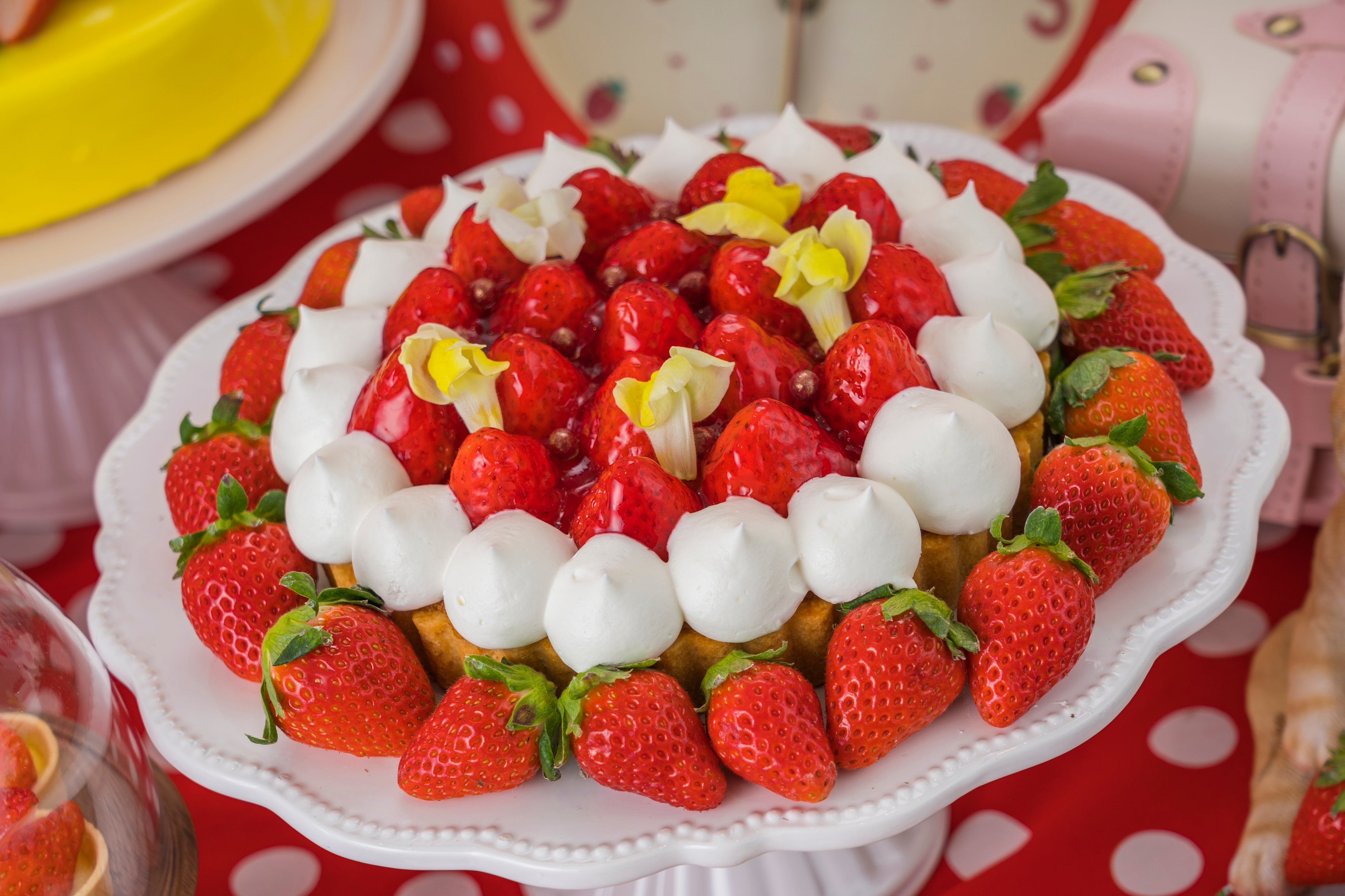 ポルカドット・ストロベリークイーン