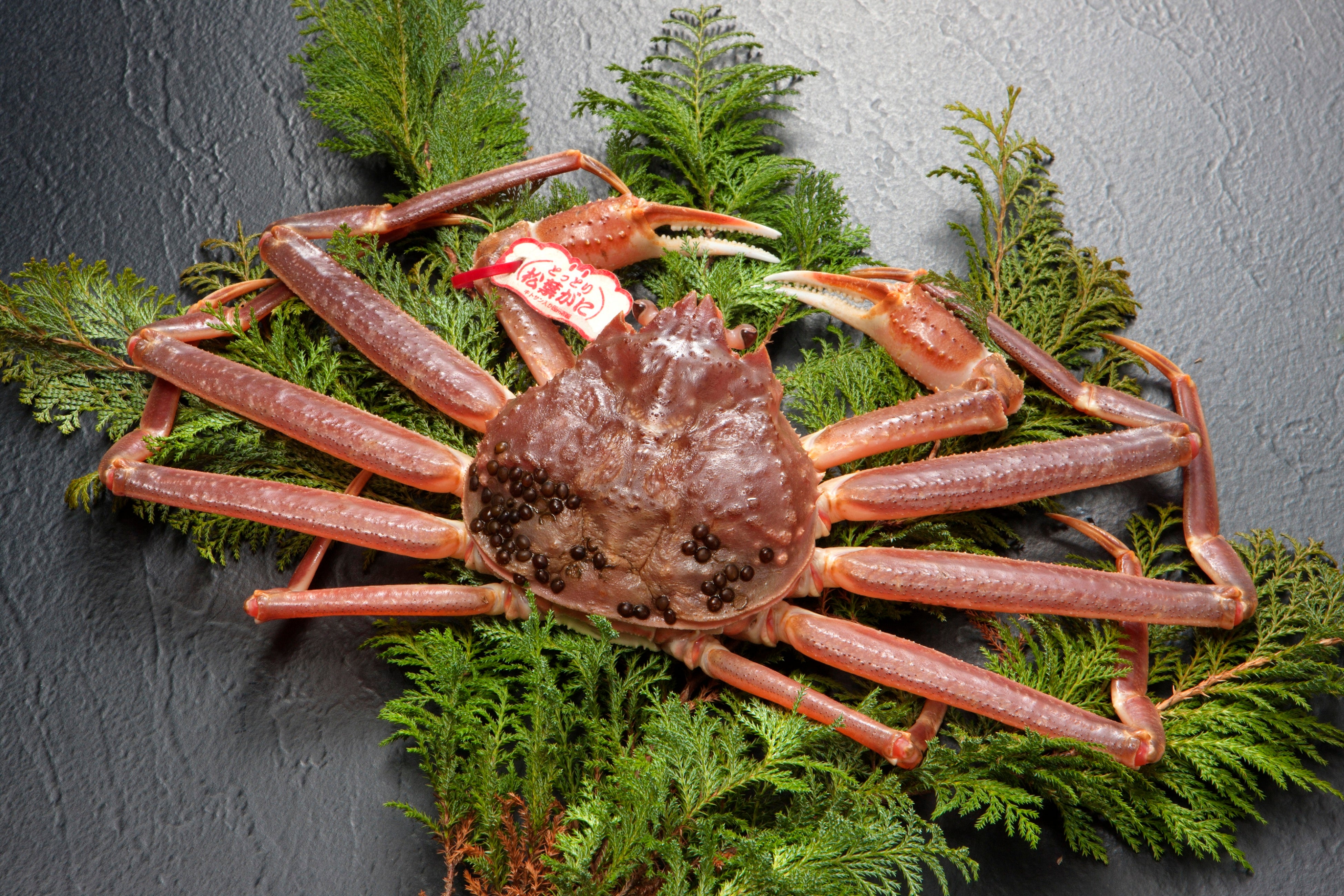 「松葉がに」