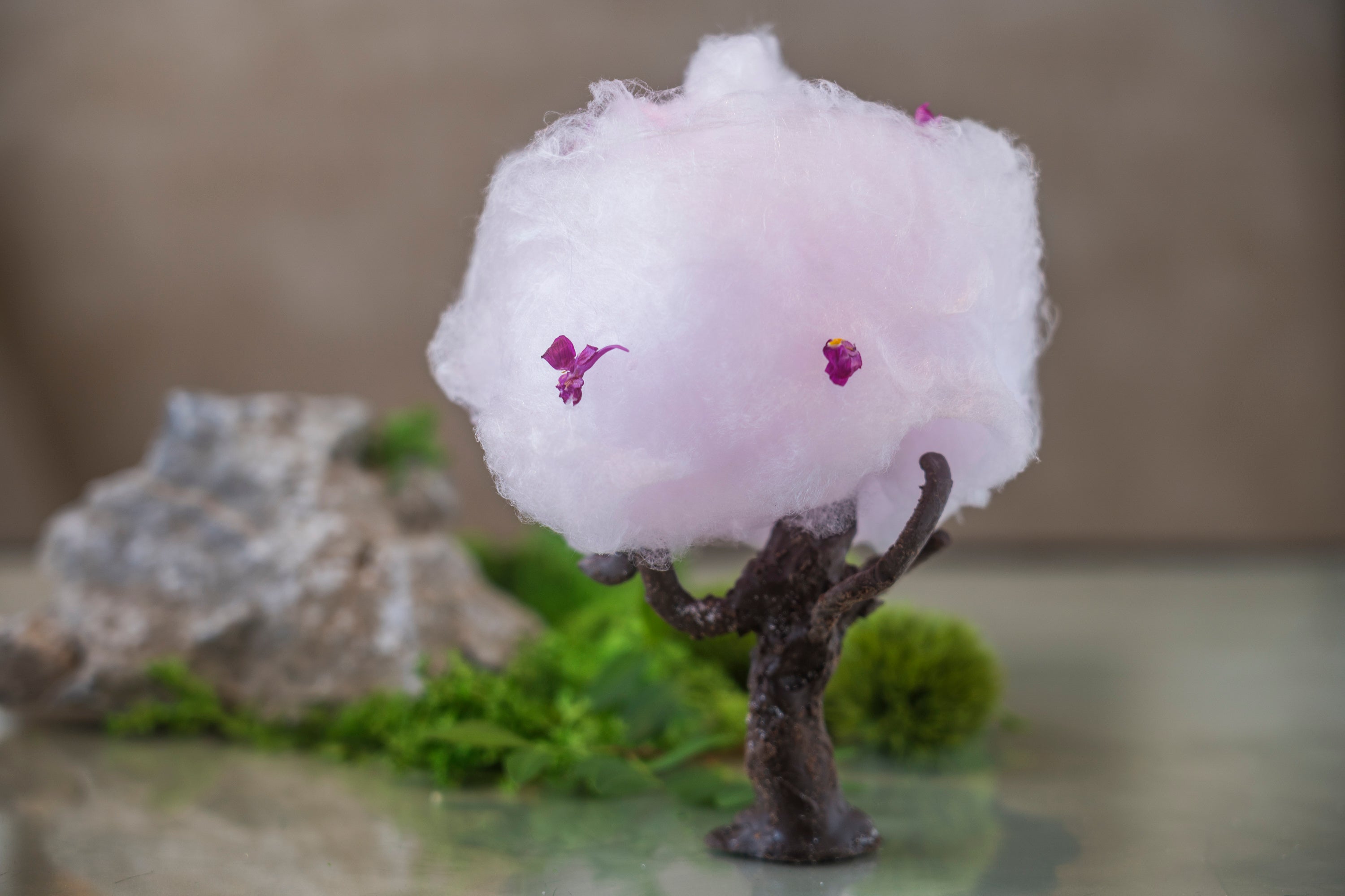 チェリーブロッサム