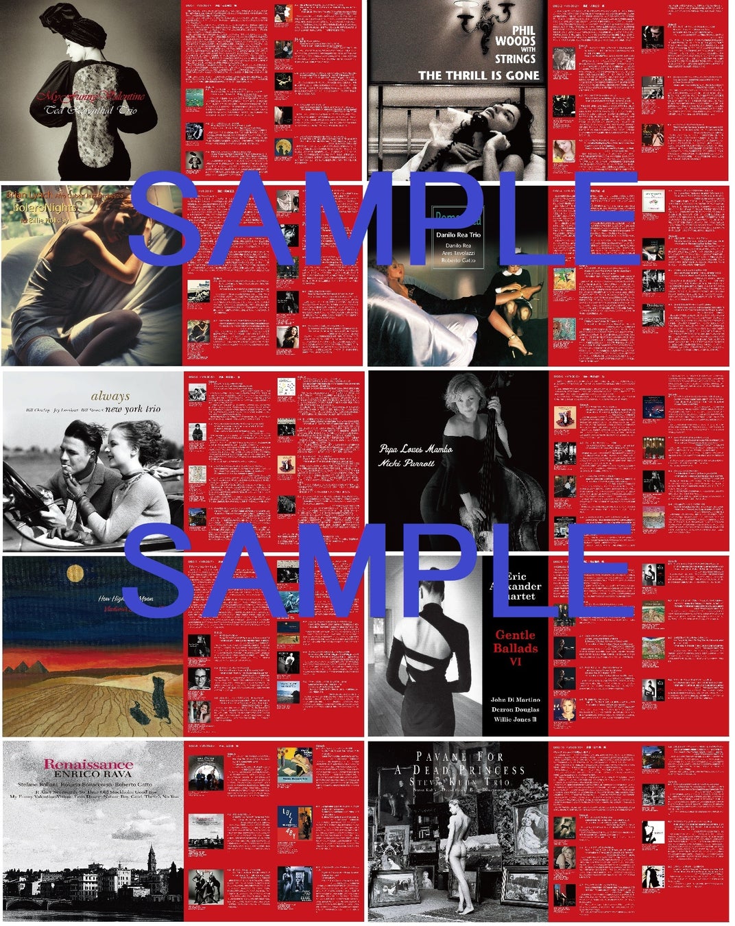 豪華オールカラー解説書(24ページ)