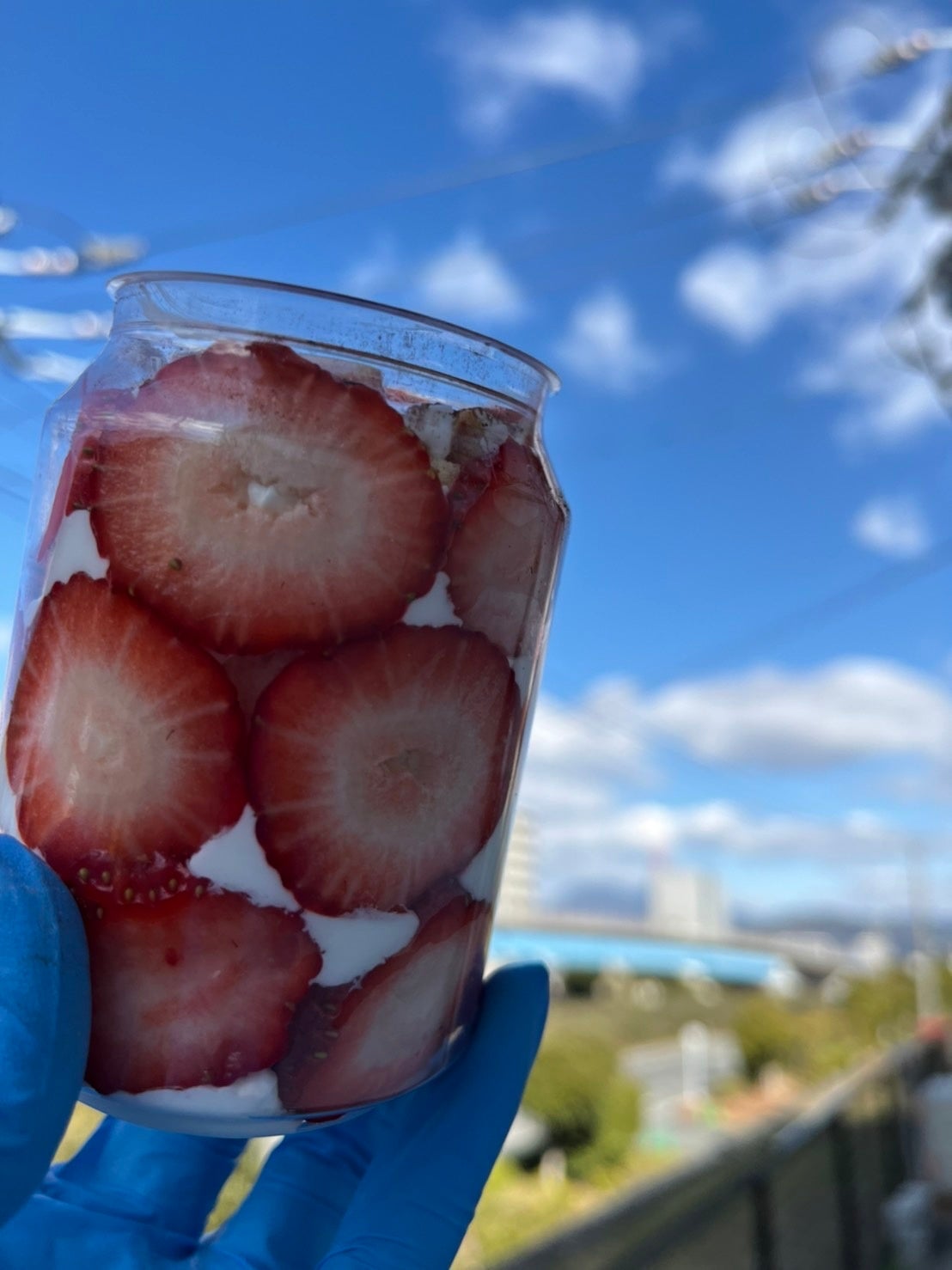 台湾カステラパフェ缶