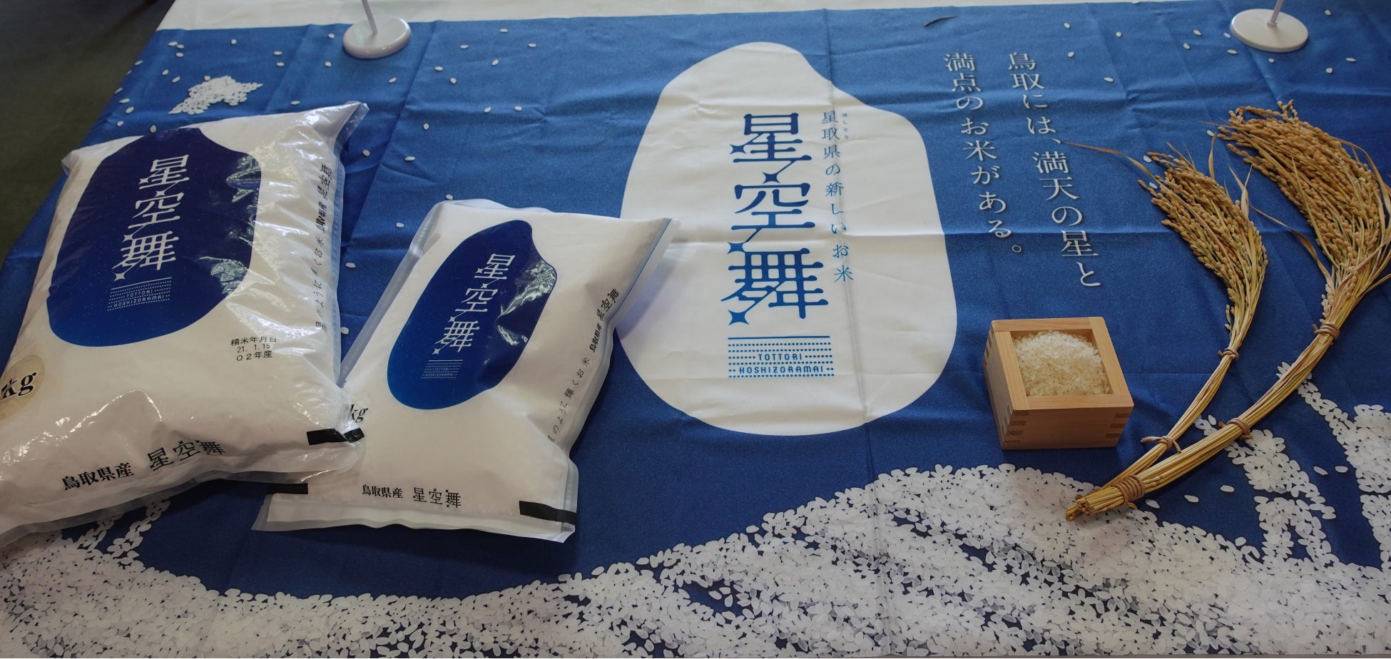 2018年にデビューした鳥取県の新品種「星空舞」。星のように輝く星空舞は、冷めても食感が変わらずおいしい。