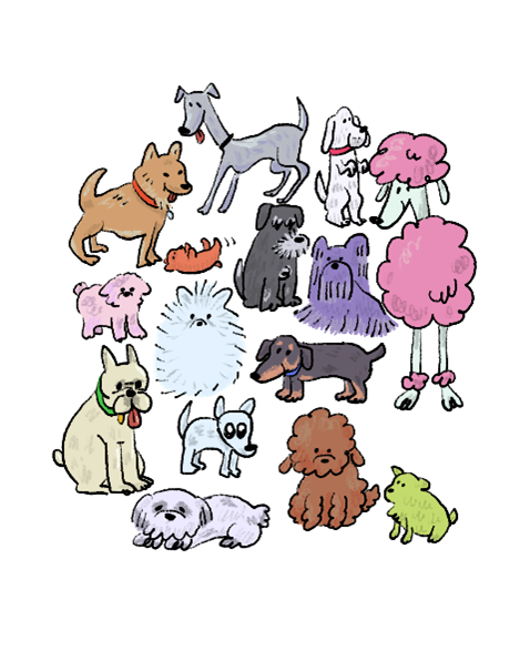 全犬種・全年齢