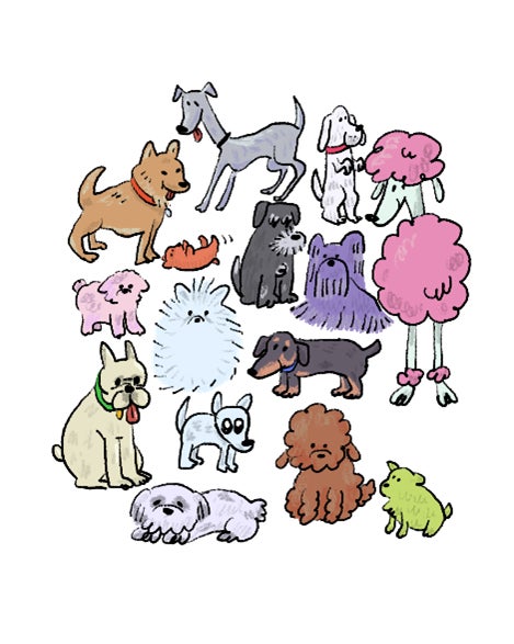 全犬種・全年齢