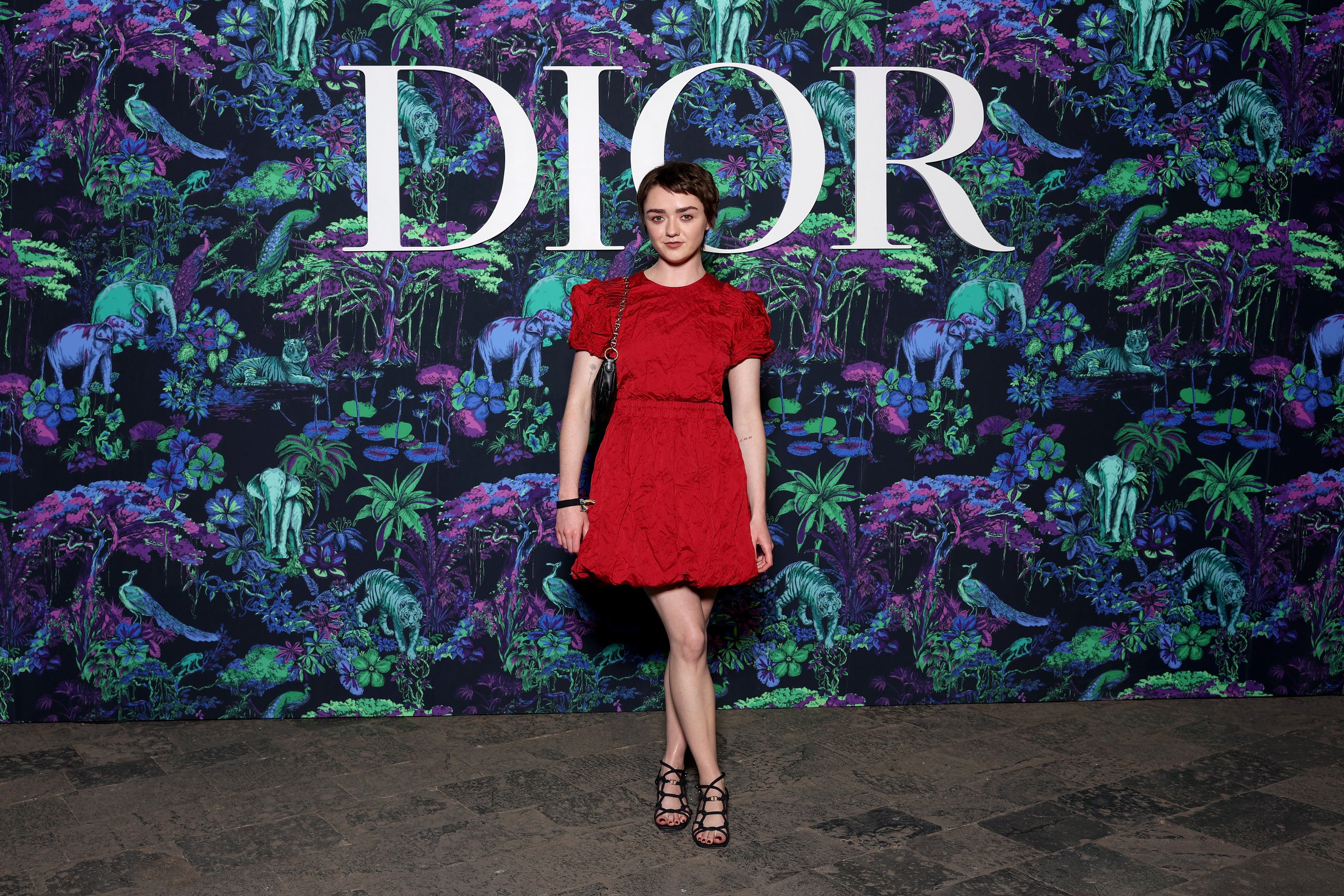 DIOR】ディオールを纏うセレブリティ＠2023年フォール