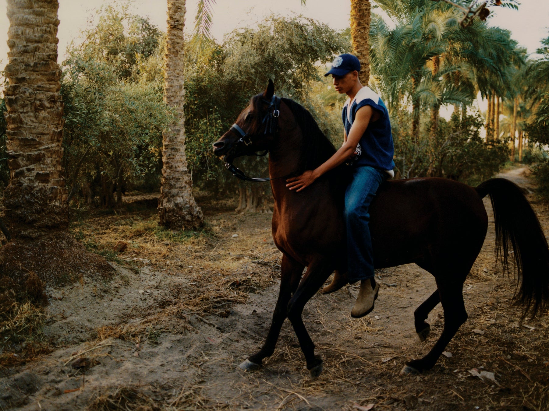 BY DEXTER NAVY BY DEXTER NAVY