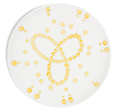 デザートプレート 22CM&nbsp; ¥22,000