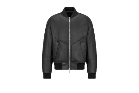 DIOR ICONS ボンバージャケット ラムスキン&nbsp; ¥1,200,000