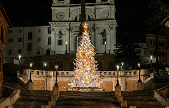 DIOR】 ホリデーシーズンのローマに輝きを添えるクリスマスツリー