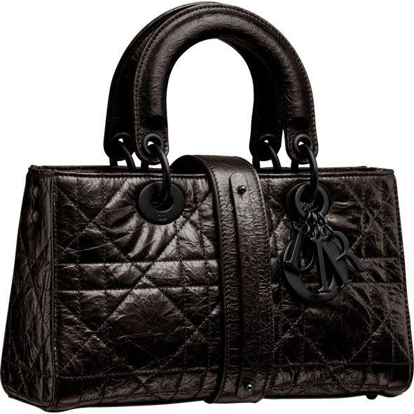 DIOR】新たなアイコン「レディ D-サイア」が登場 | クリスチャン