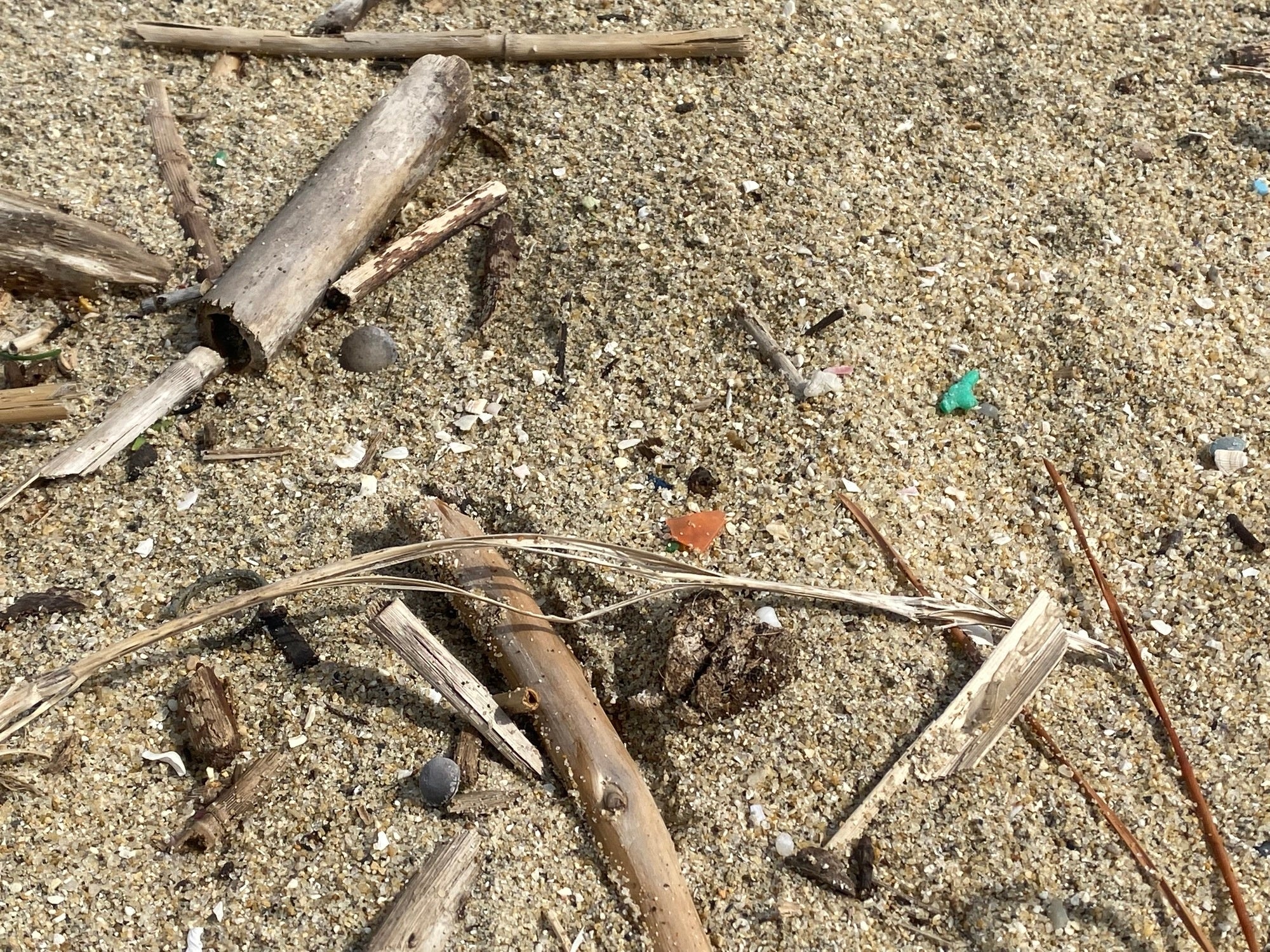 砂浜に落ちているマイクロプラスチック