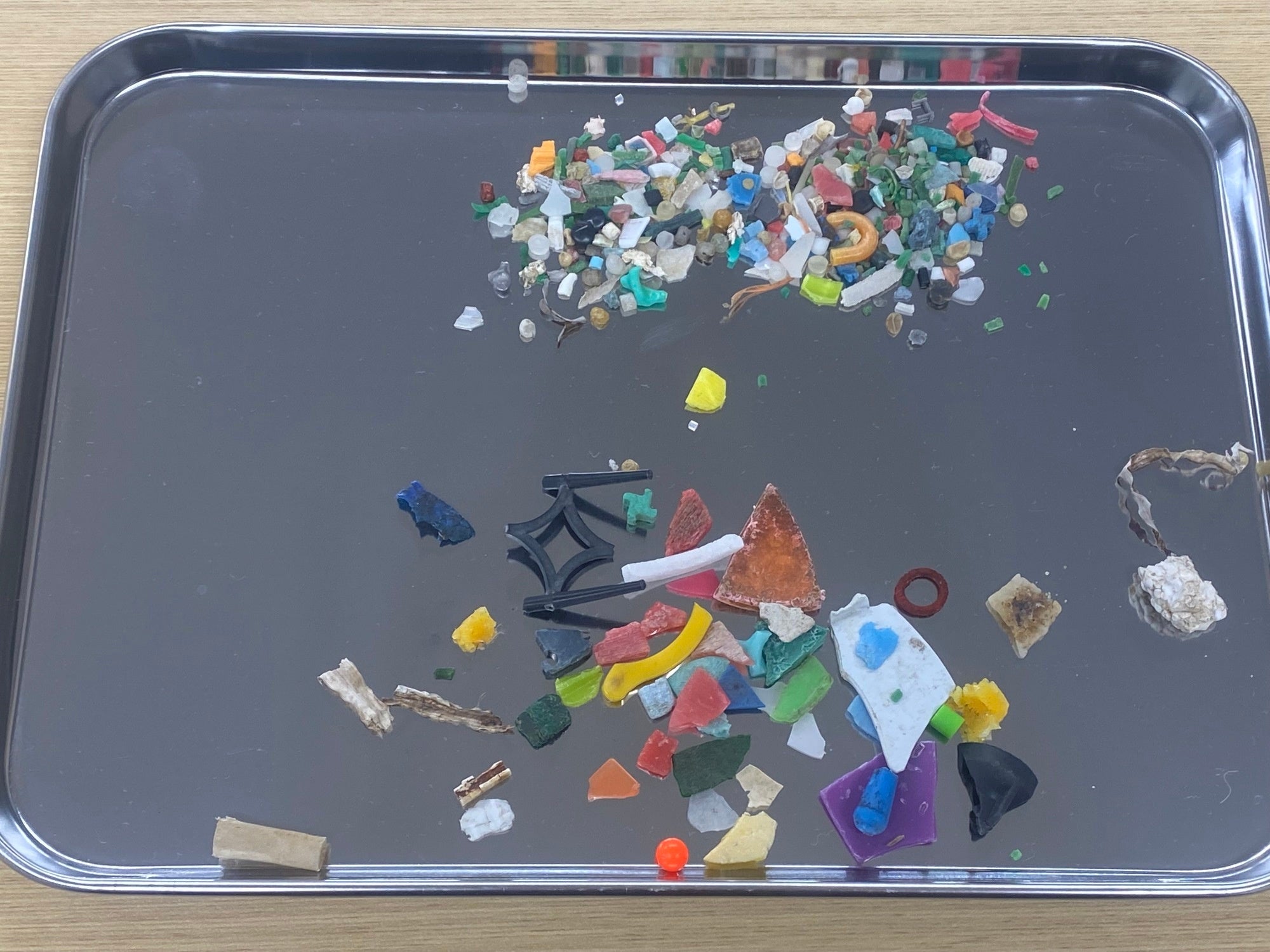 30cm四方の砂浜から見つかったマイクロプラスチック
