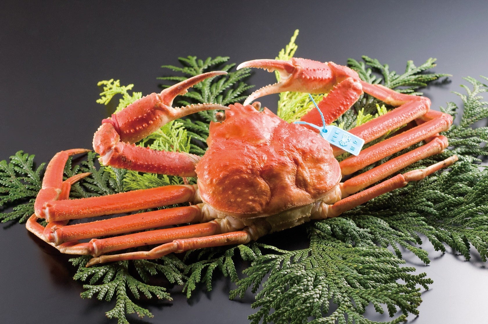 提供：石川県観光連盟