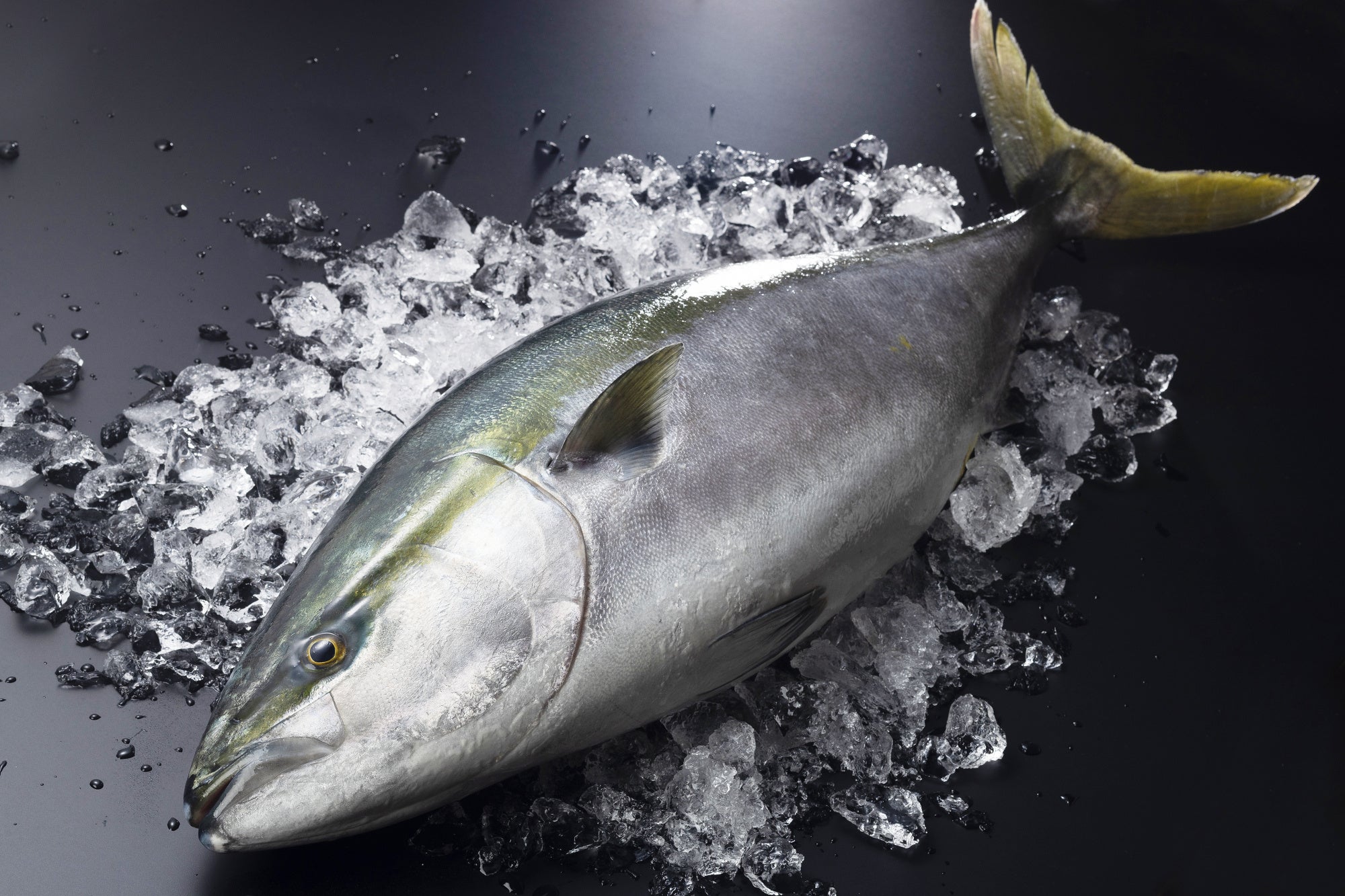 提供：石川県観光連盟