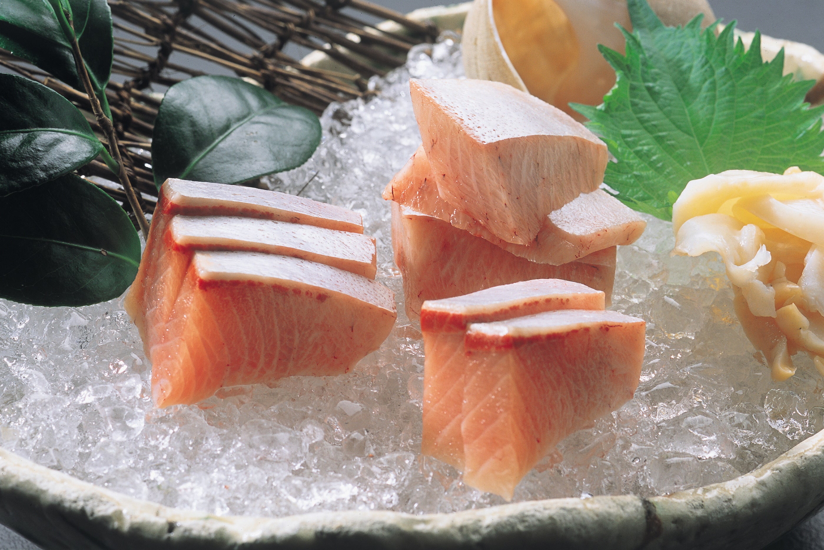 天然能登寒ぶり