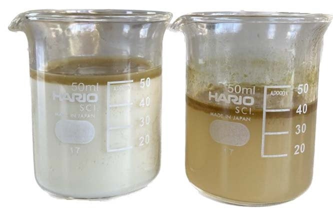 左：乳化した現場サンプル　右：分離後