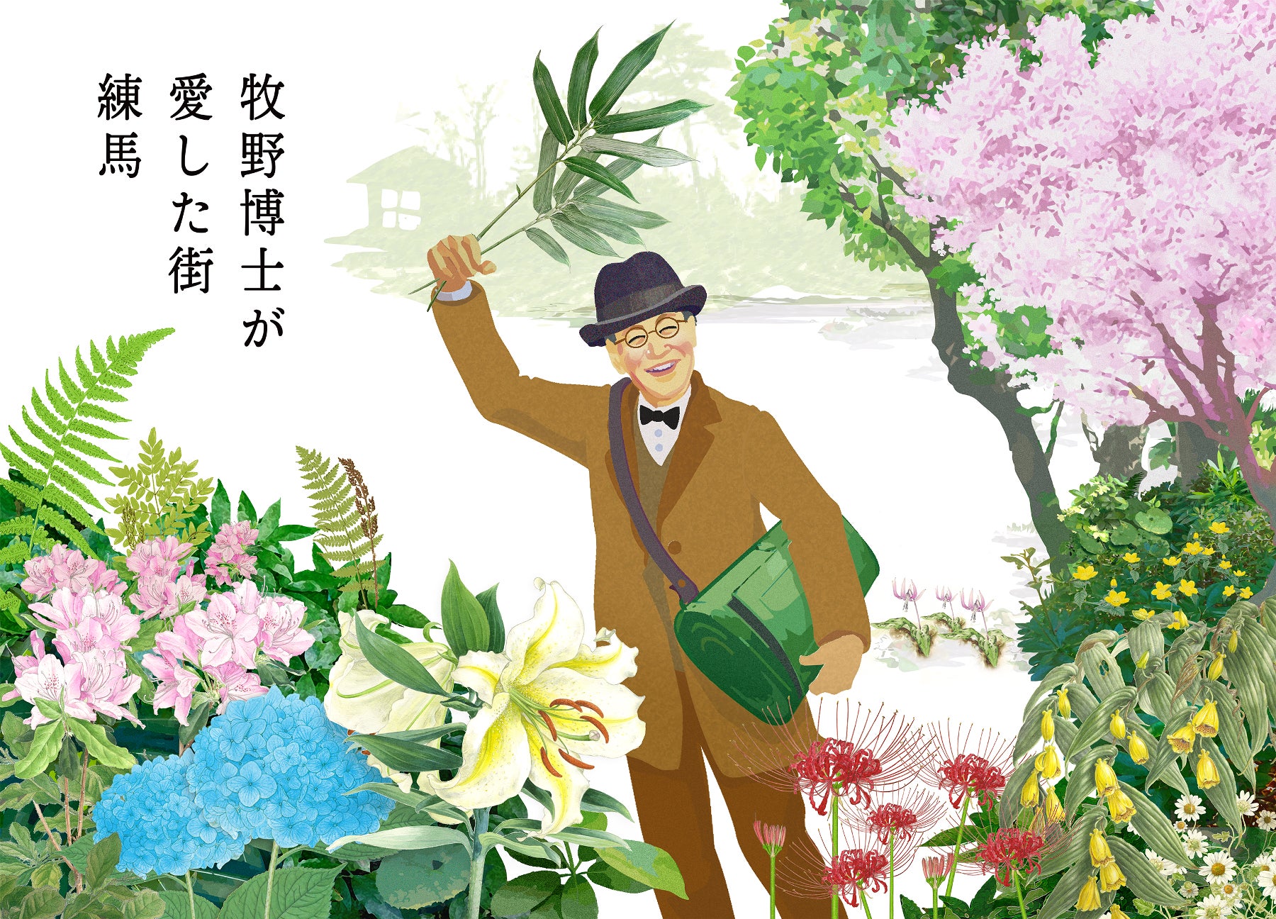 練馬区名誉区民 牧野富太郎博士が主人公のモデル NHK朝ドラ「らんまん 練馬区名誉区民 牧野富太郎博士が主人公のモデル NHK朝ドラ「らんまん