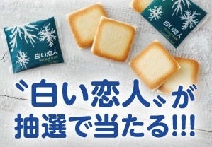 ホッカイドウ競馬LINE公式アカウントキャンペーン!友だち追加で石屋製菓の「白い恋人」プレゼント!詳細は公式サイトで ホッカイドウ競馬LINE公式アカウントキャンペーン!友だち追加で石屋製菓の「白い恋人」プレゼント!詳細は公式サイトで