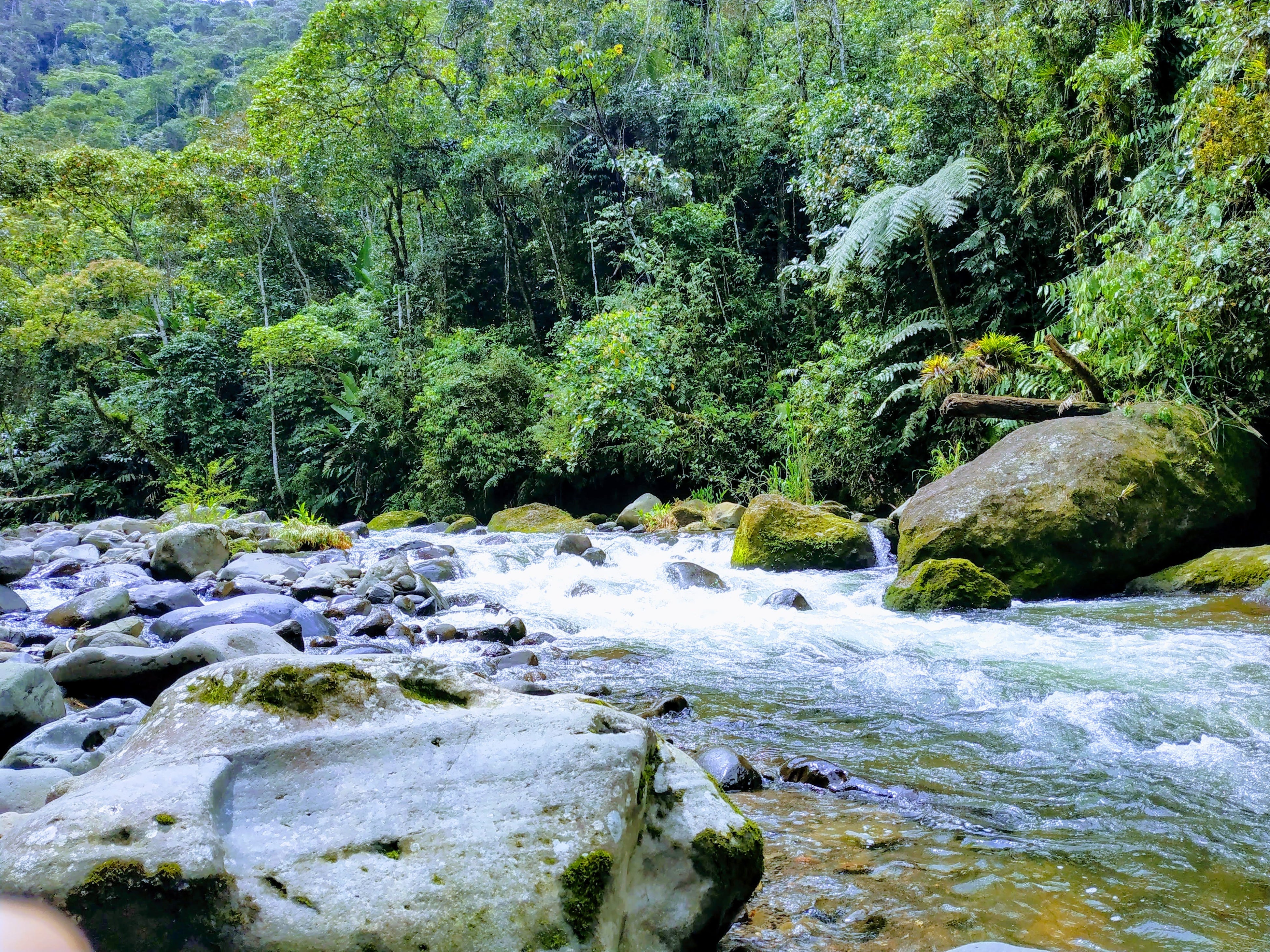 自然の恵み豊かな水場