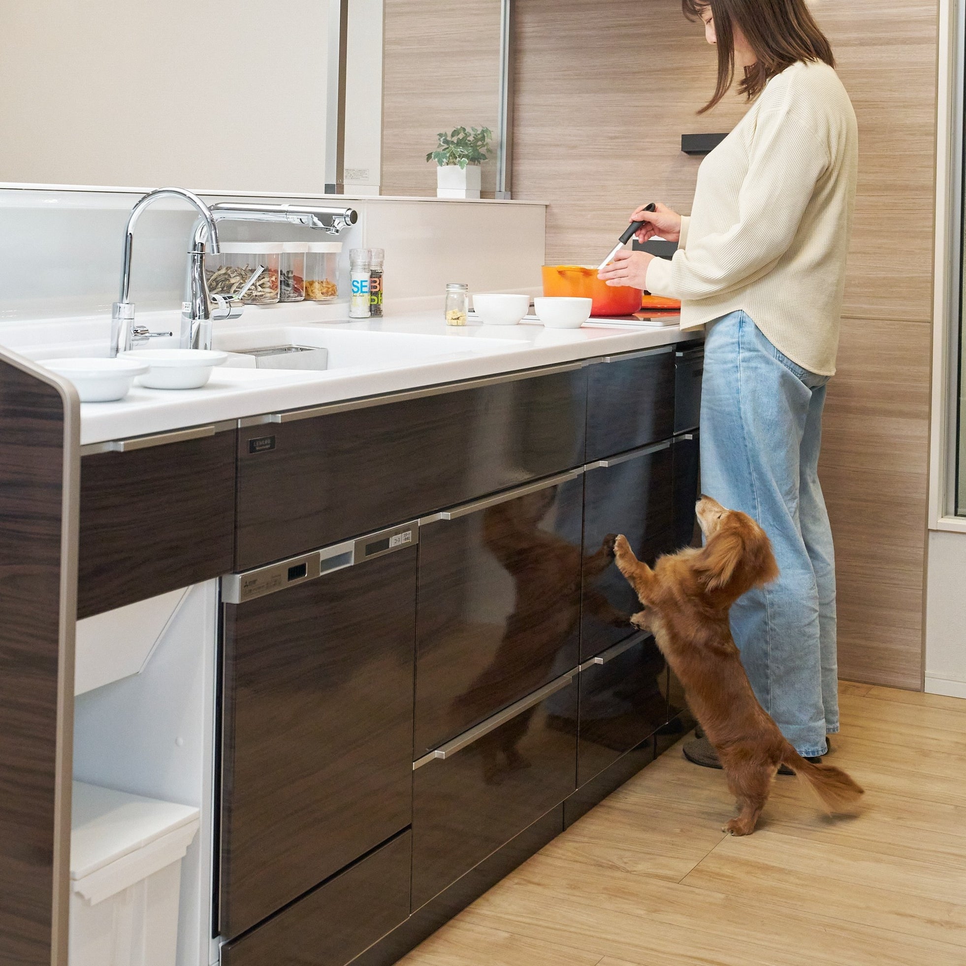 国内最大級のペット総合イベント「Pet博2025 大阪」に初出展