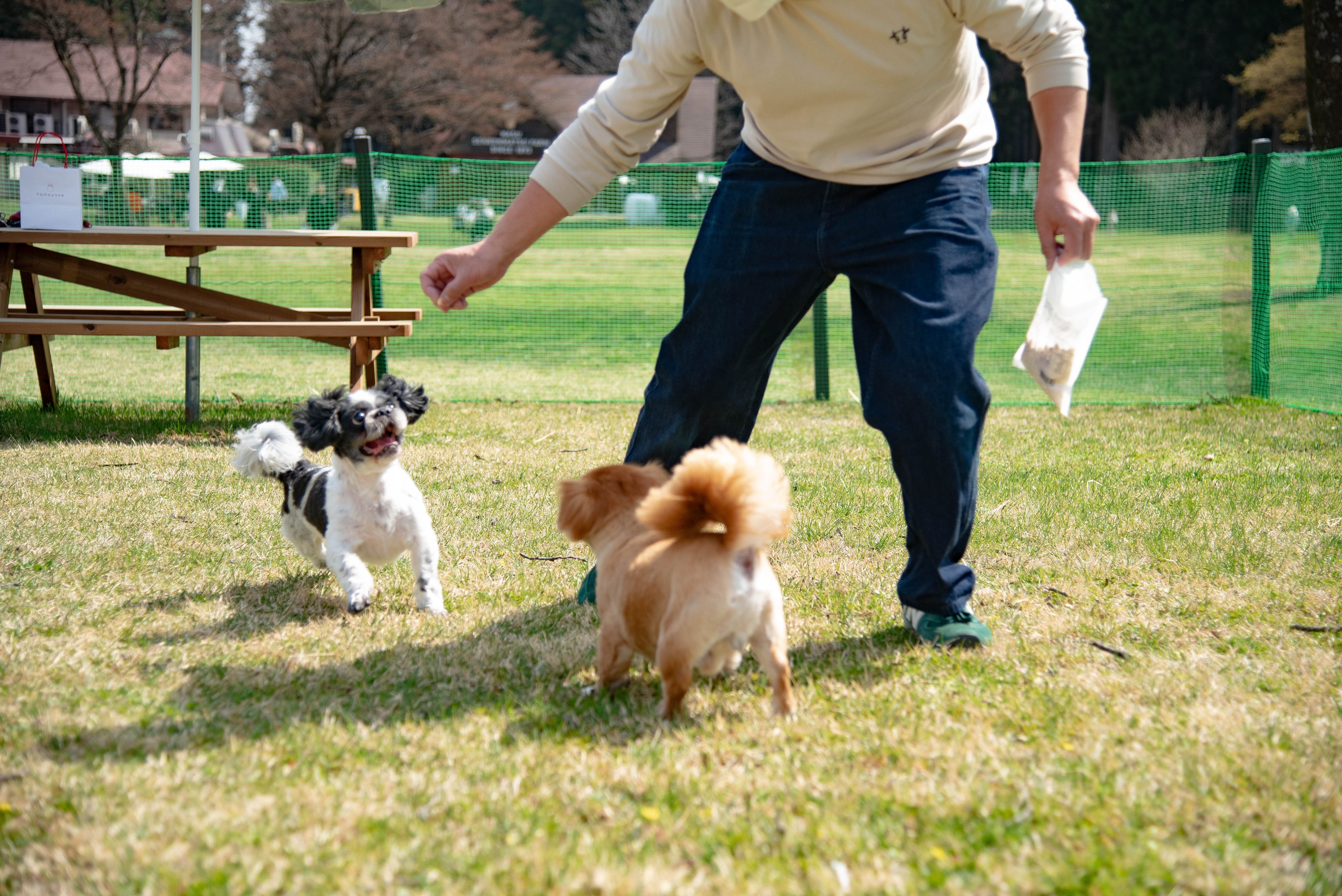 「プライベートドッグラン」を開設