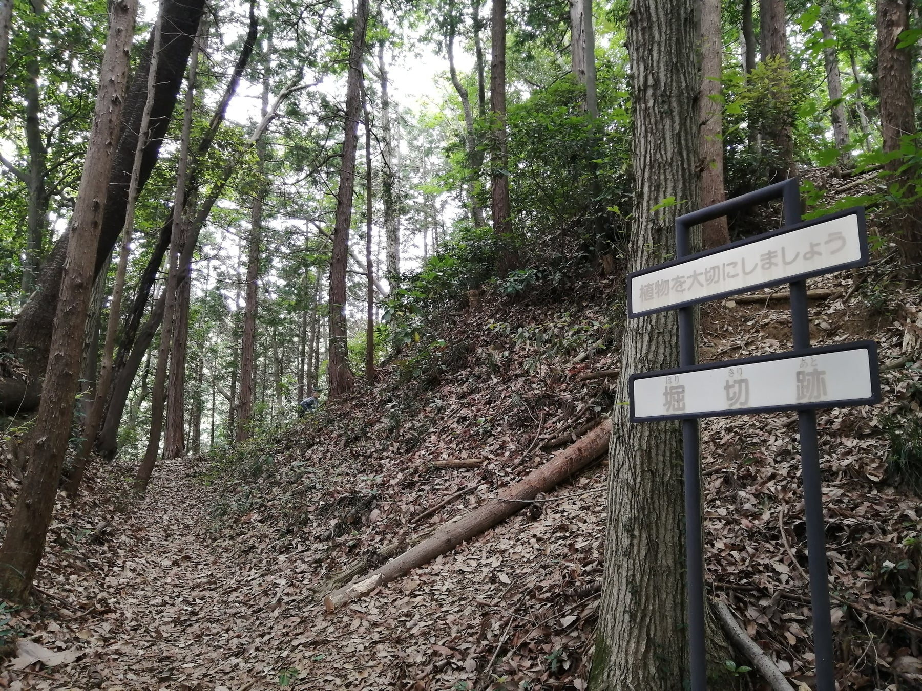 青山城