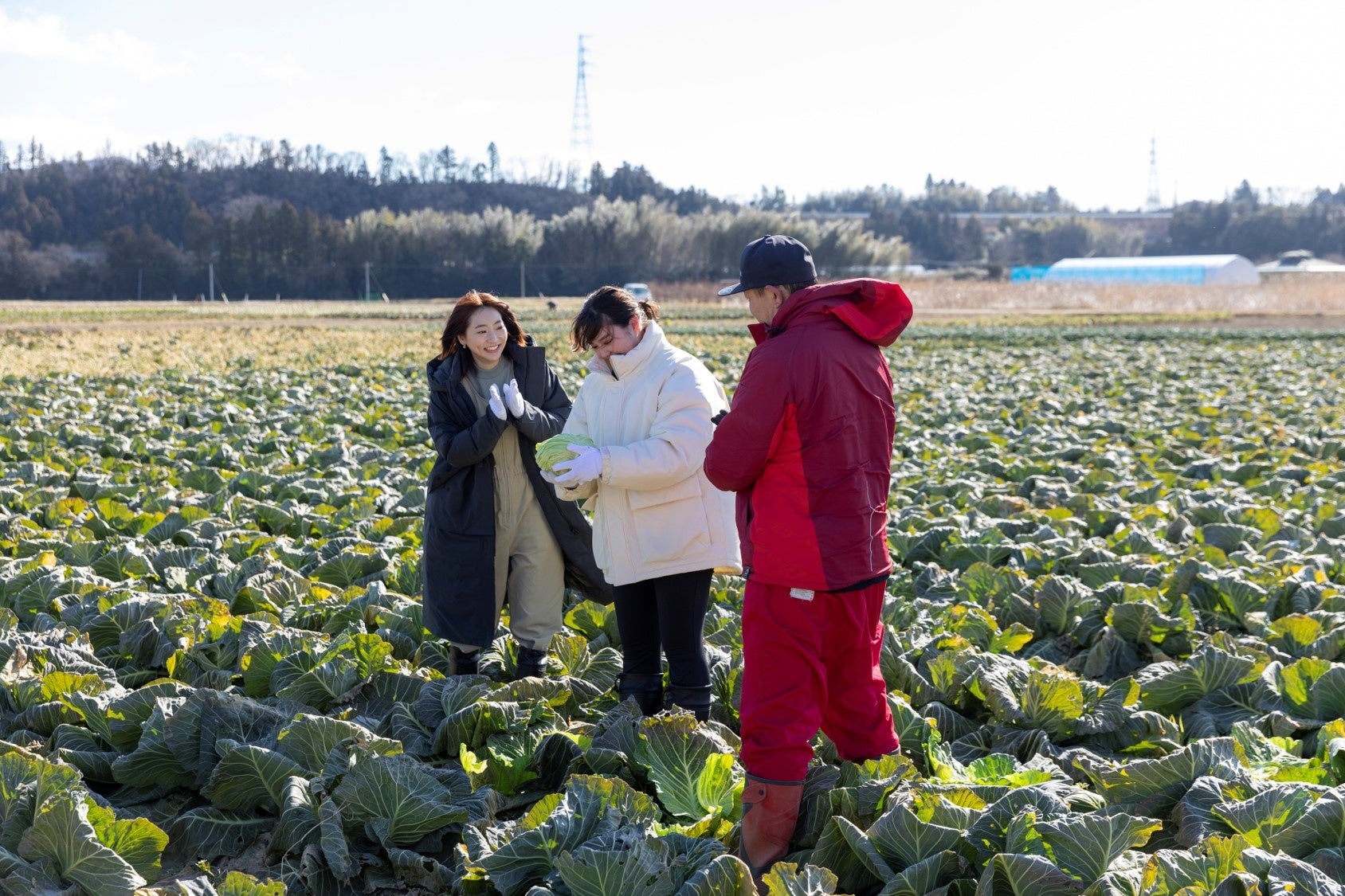 収穫体験の様子