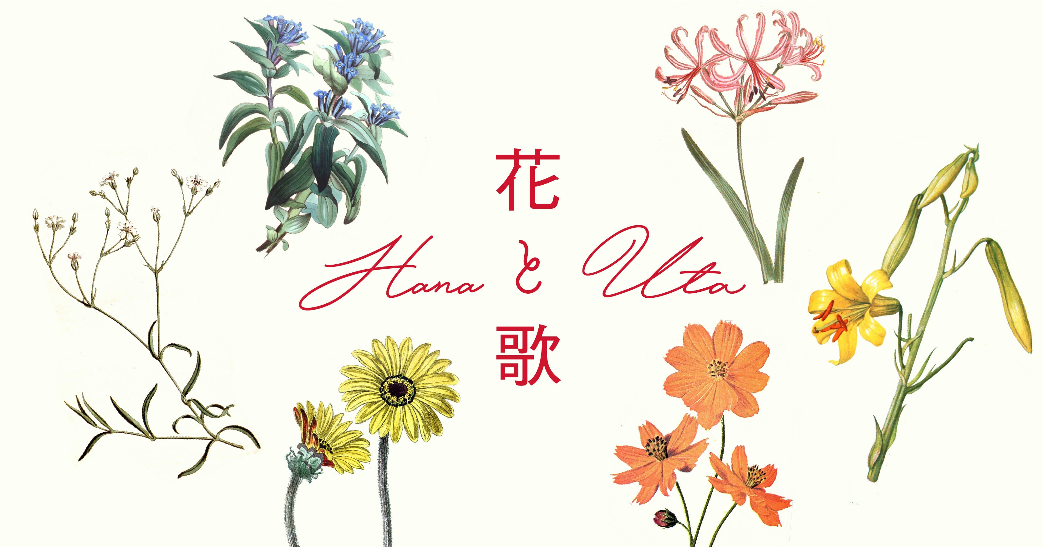 テクノロジーとアイデアで社会課題の解決をするdentsu Lab Tokyoが 花贈り に馴染みの薄い若年層へ花との新しい出会いをプロデュース 贈りたい 花をもとに作る短歌aiツール 花と歌 を開発 Dentsu Lab Tokyo運営事務局のプレスリリース