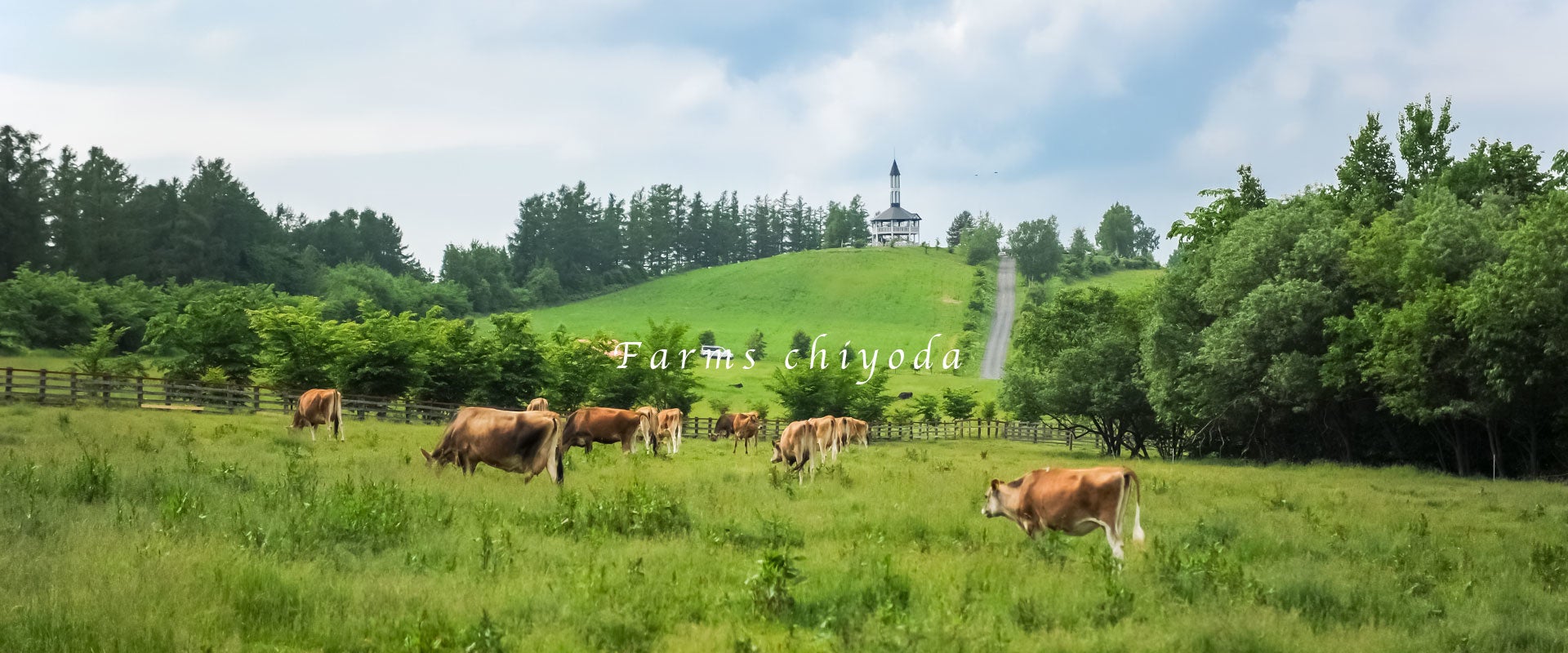 ファームズ千代田さん2